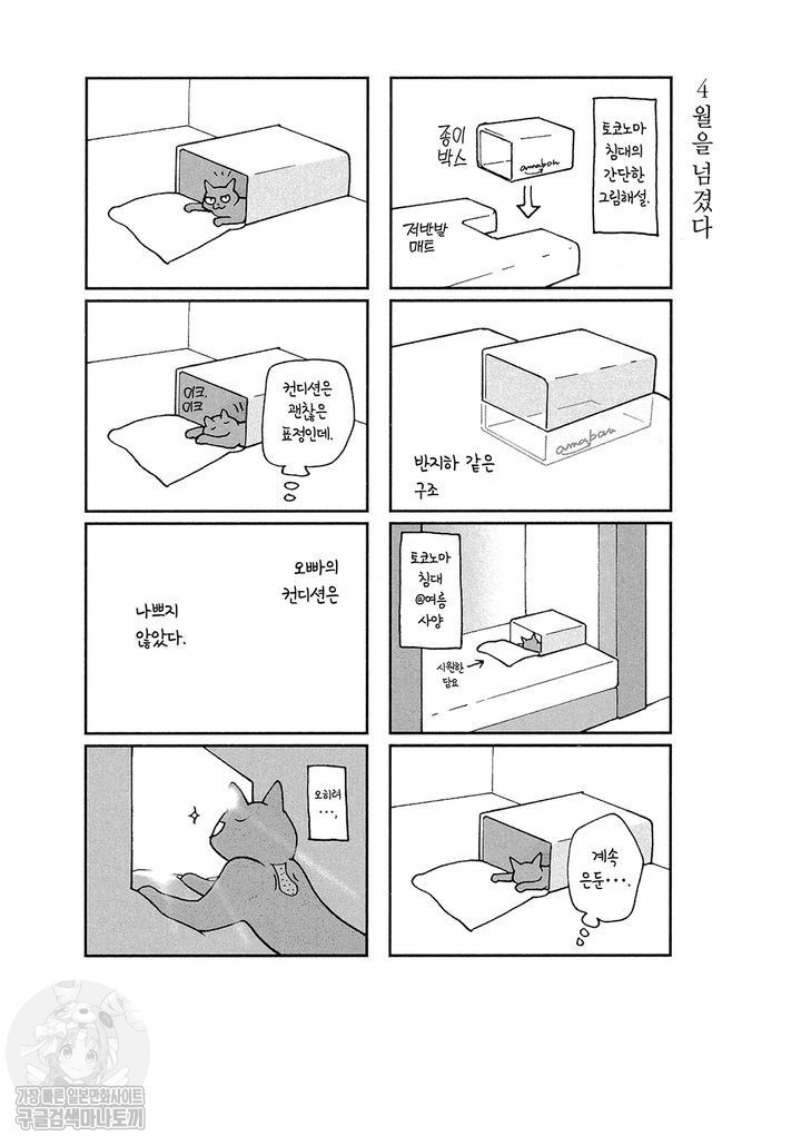 1734380012857.jpg