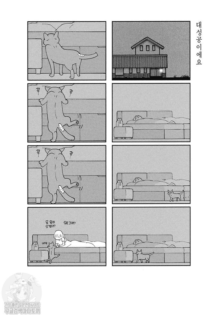 17343800176578.jpg