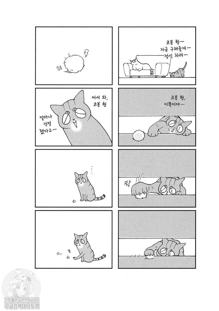 17343802032283.jpg