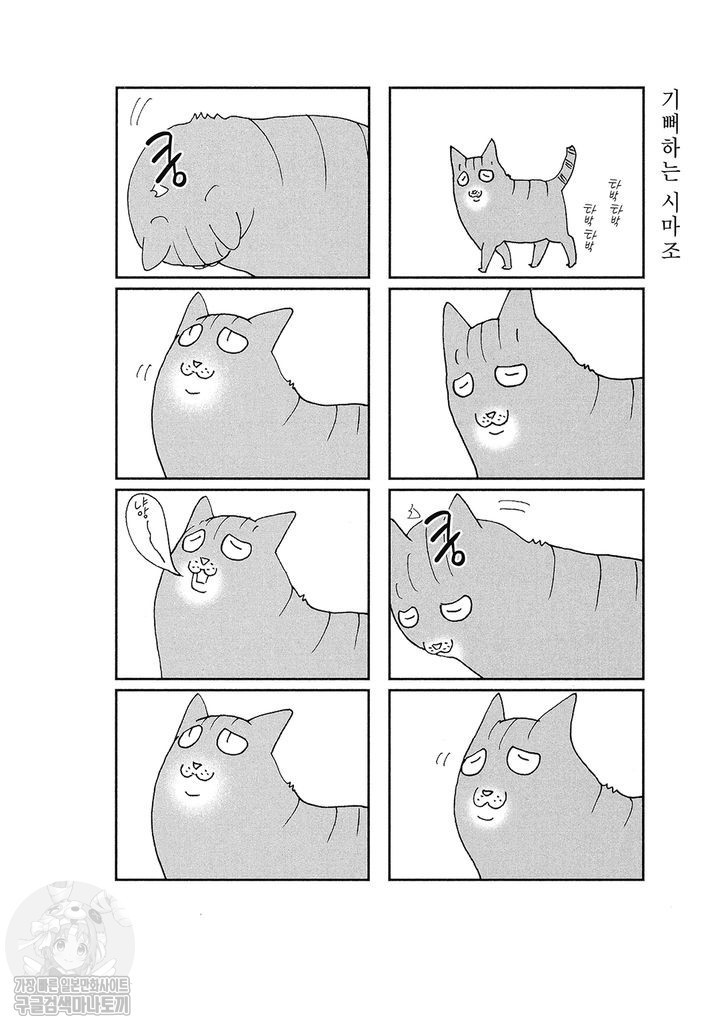 17343802268291.jpg