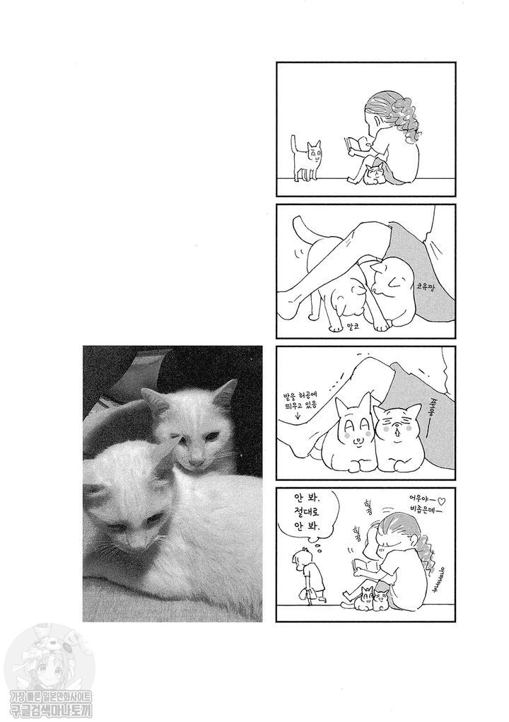 17343802328554.jpg