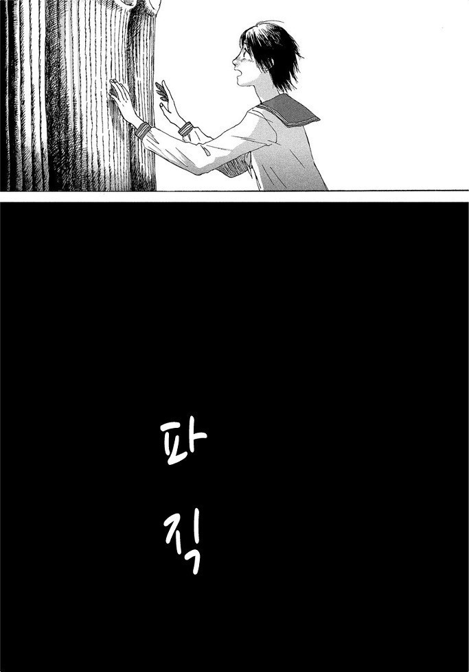 17343806228809.jpeg