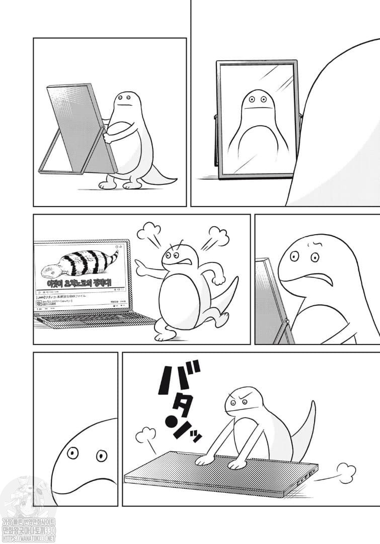 17347114051624.jpeg